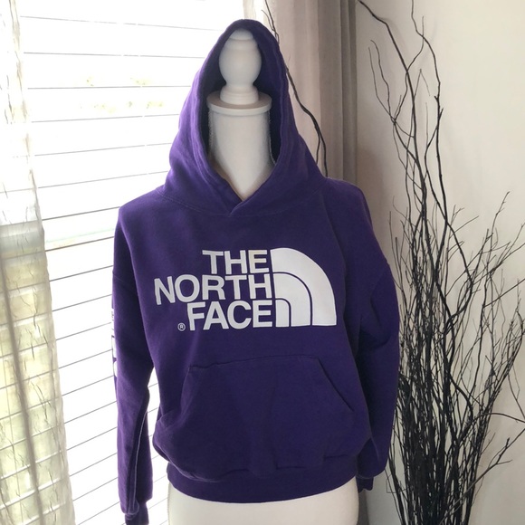 The North Face Other - The North Face Hoodie. SZ 14-16